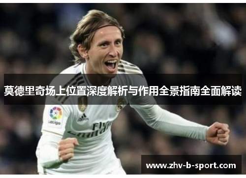 莫德里奇场上位置深度解析与作用全景指南全面解读