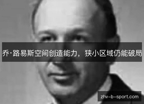 乔·路易斯空间创造能力，狭小区域仍能破局